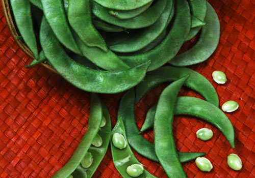 Shutter Smart Studios Food Photography