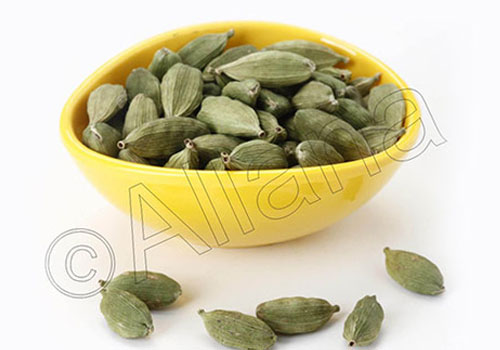 Shutter Smart Studios Food Photography